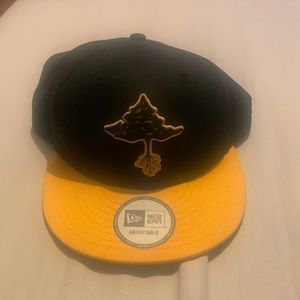 LRG snapback hat
